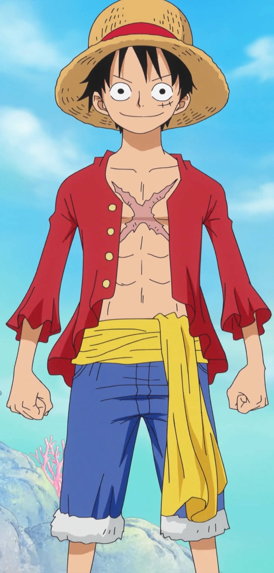 One Piece Iphone Luffy Body Portrait Background