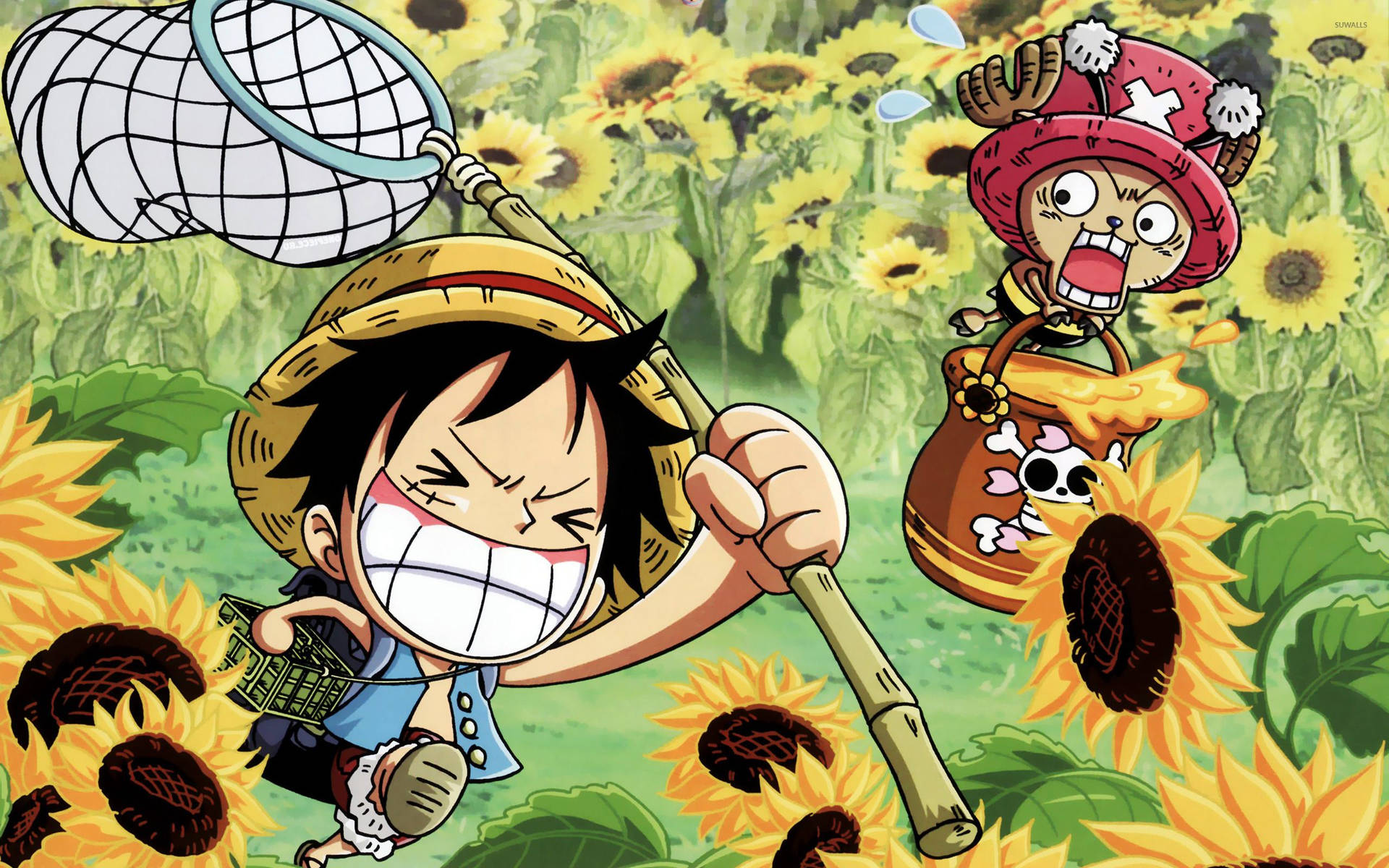 One Piece Luffy And Chopper Background