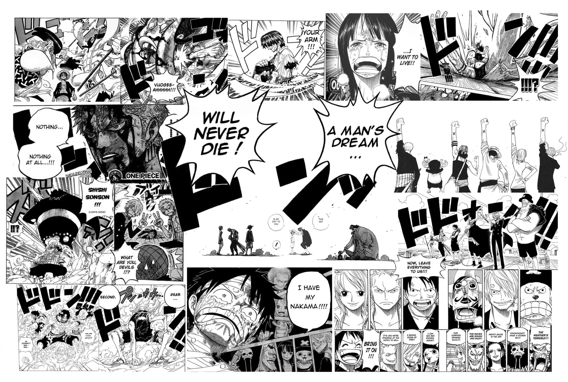 One Piece Manga - Straw Hat Pirates And Friends Background