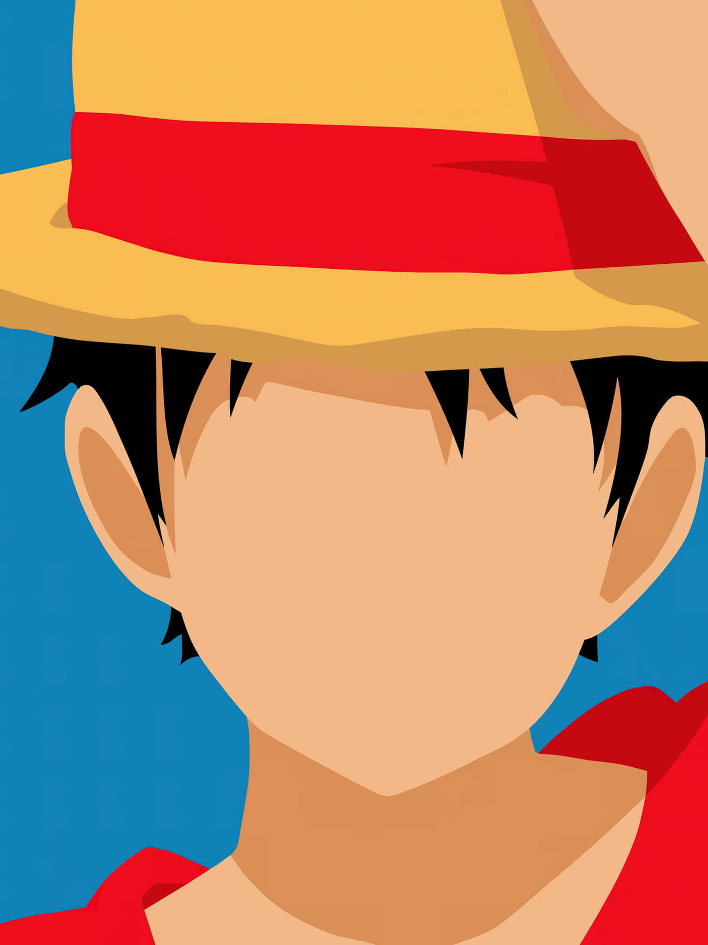 One Piece Straw Hat Close Up