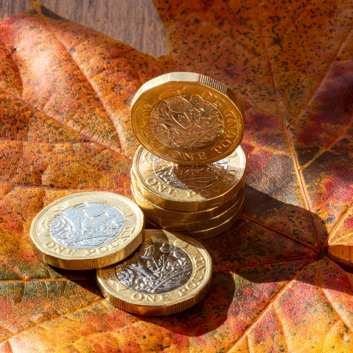 One Pound Coins Background
