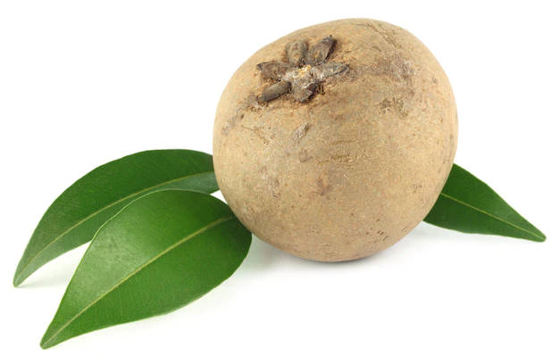 One Sapodilla Fruit With Leaves Background