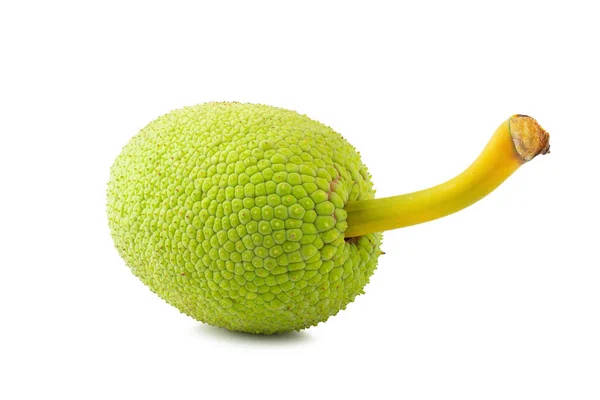 One Tiny Breadfruit Background