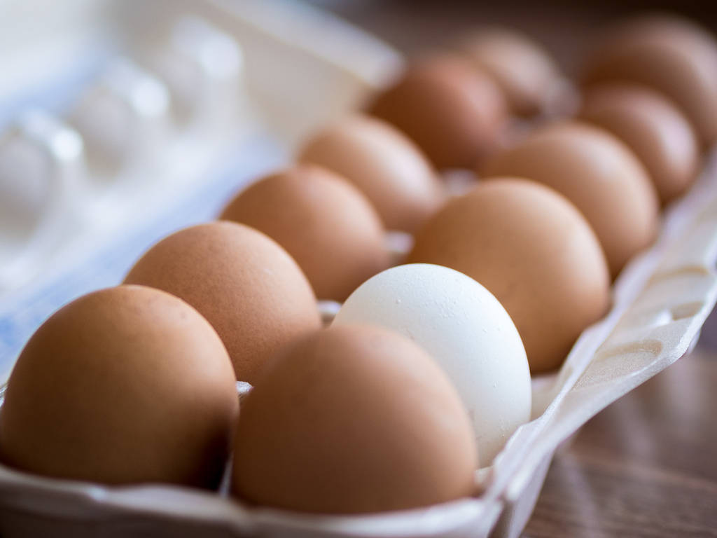 One White Egg Among Brown Eggs Background