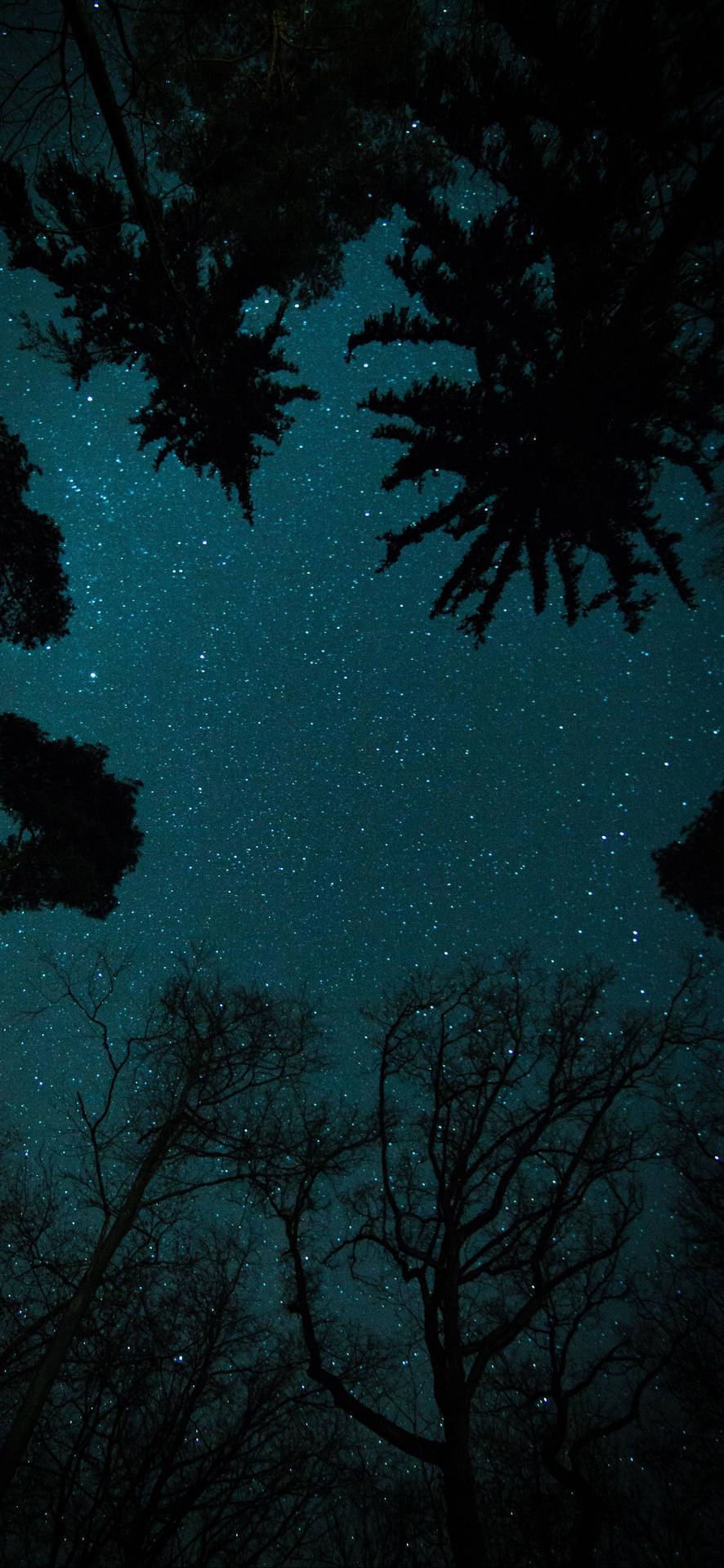 Oneplus Starry Night Sky Background