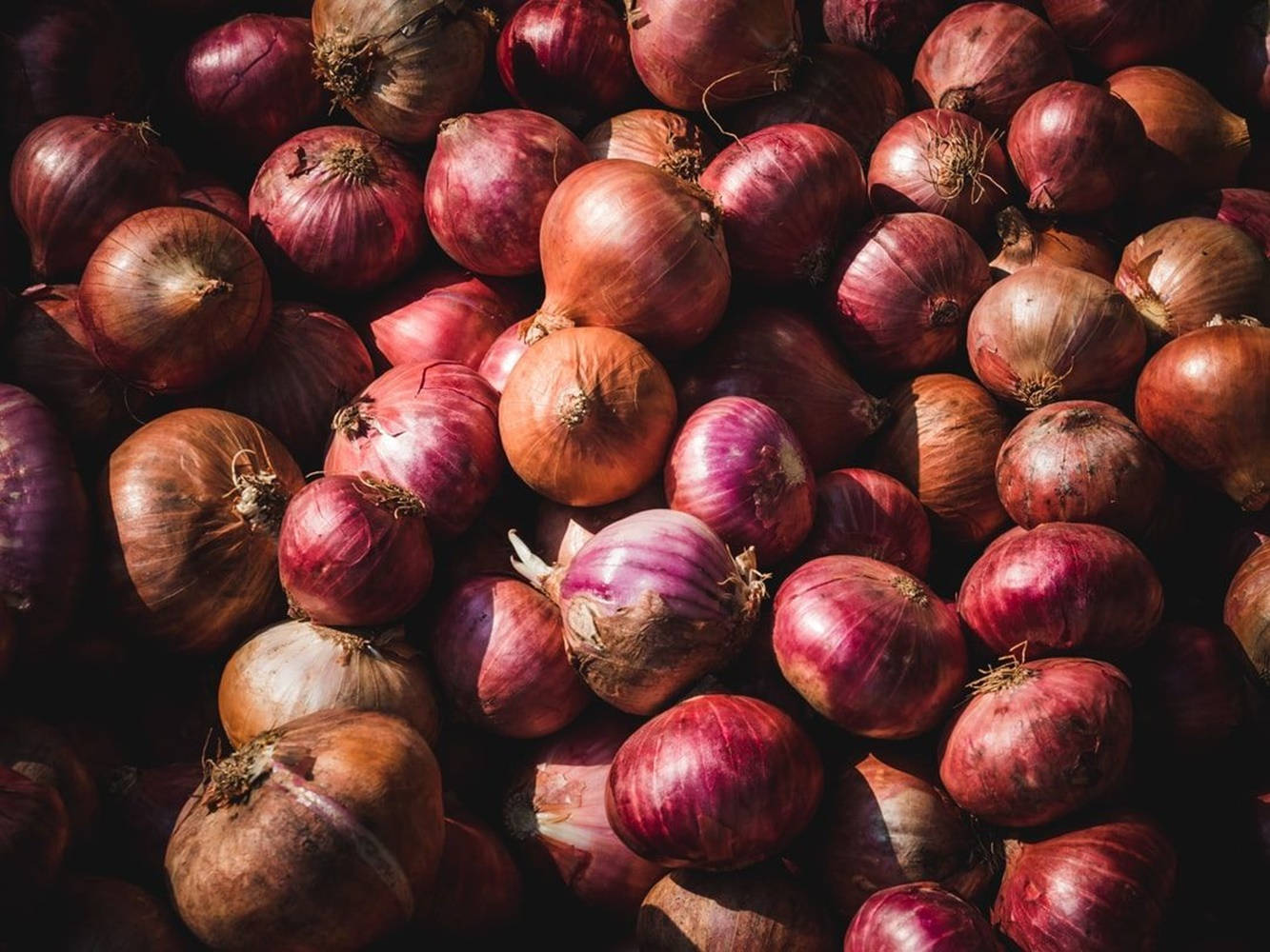 Onions Different Sizes And Colors Background