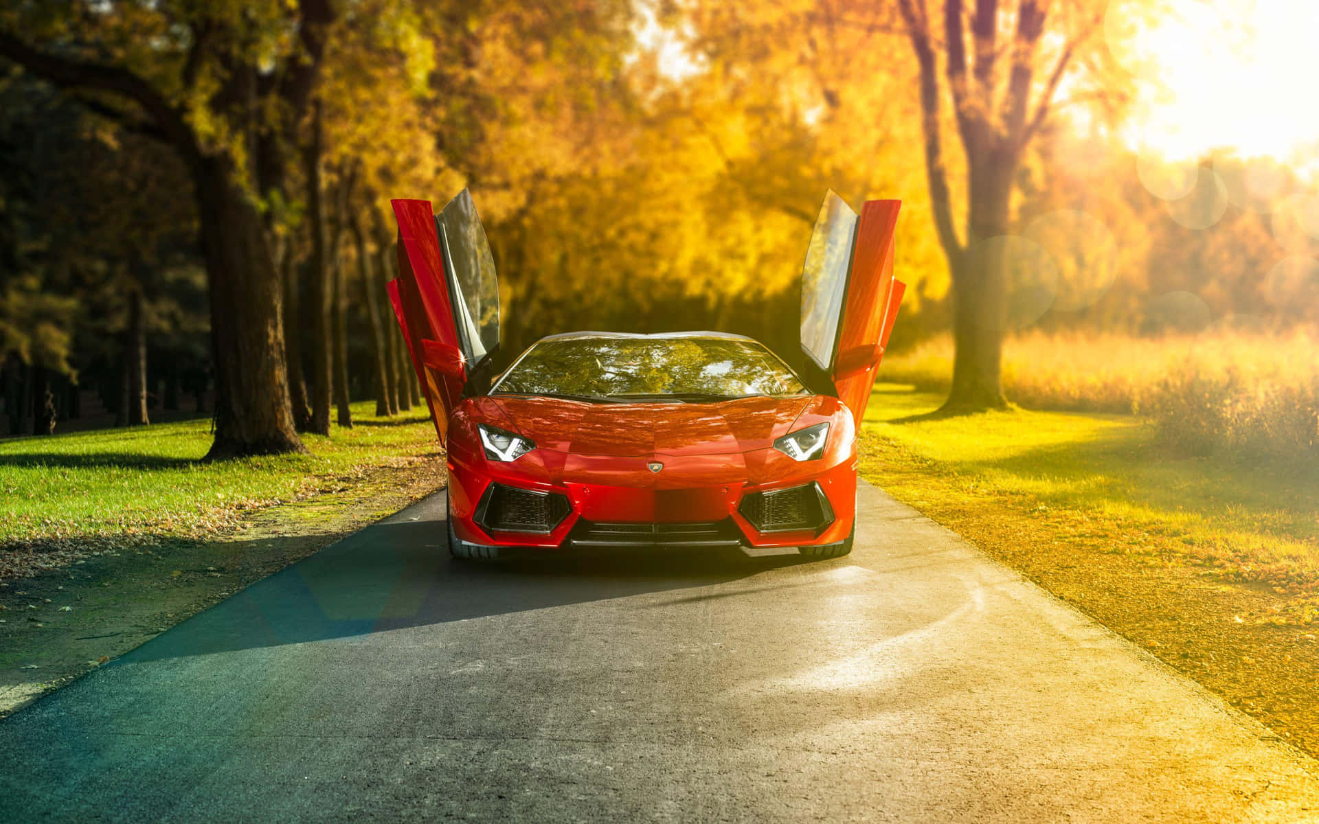 Open Door Lamborghini Aventador