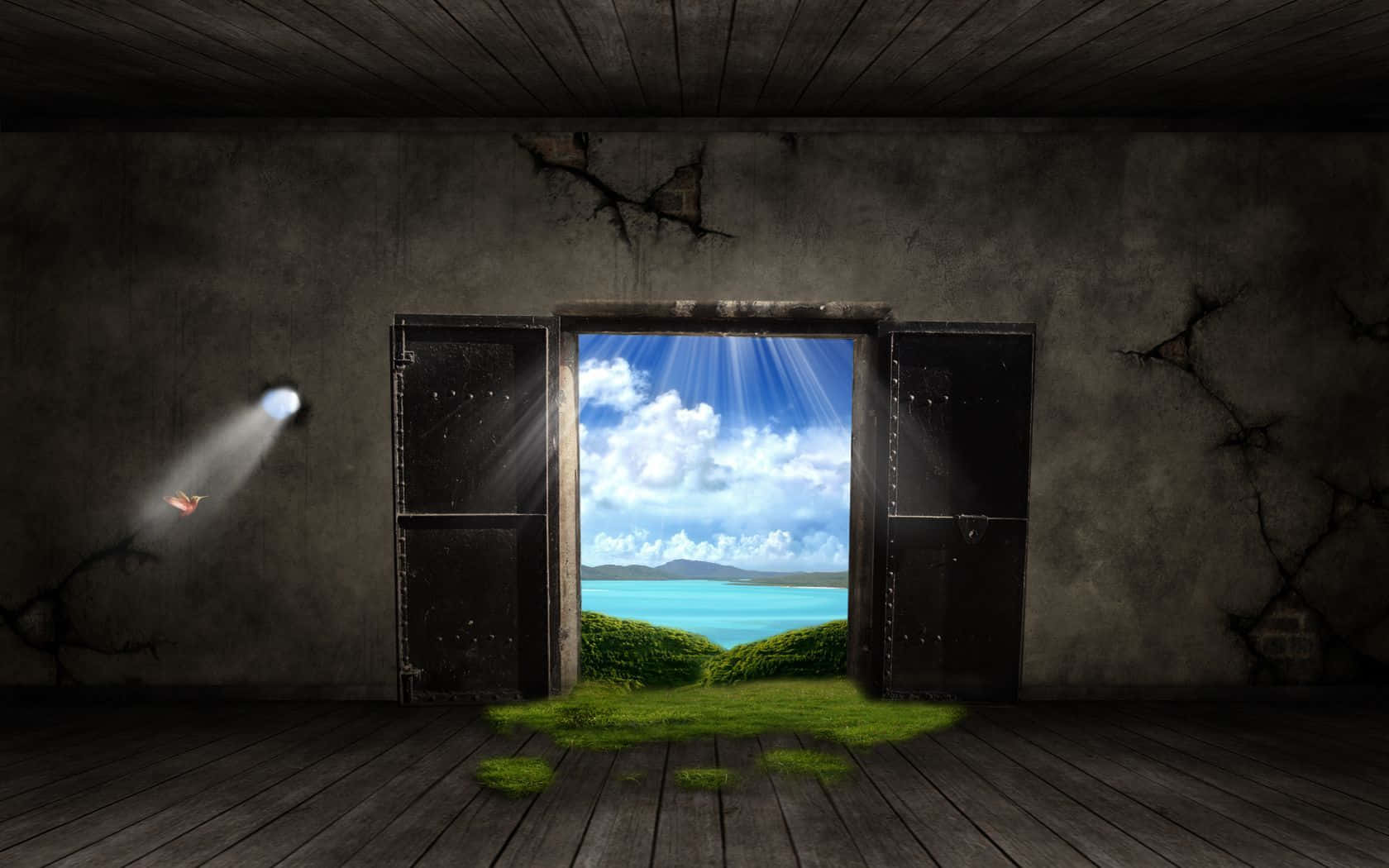 Open Door Landscape