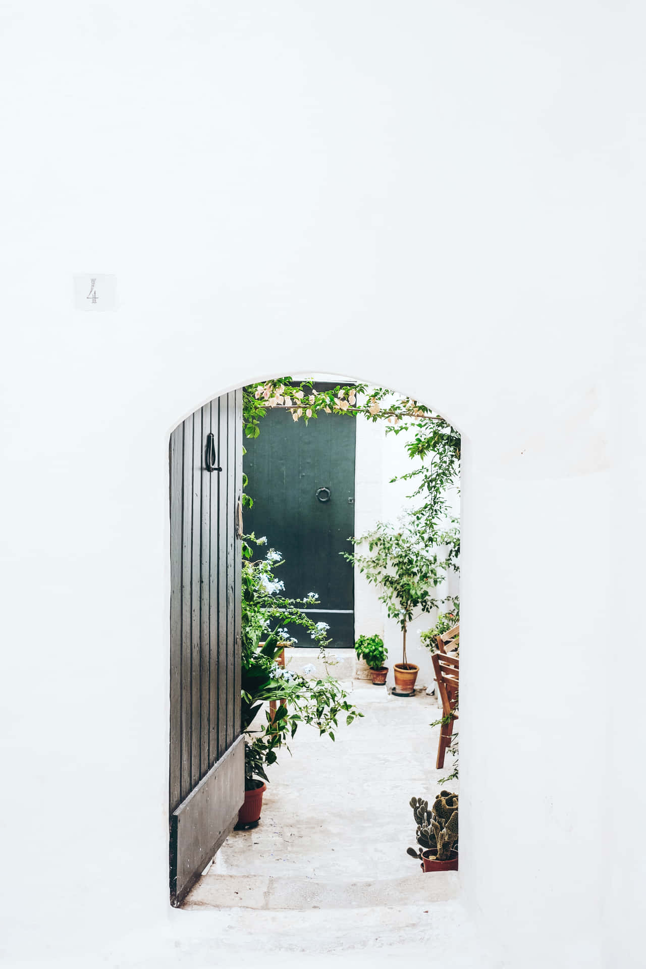 Open Door To Small Outdoor Garden