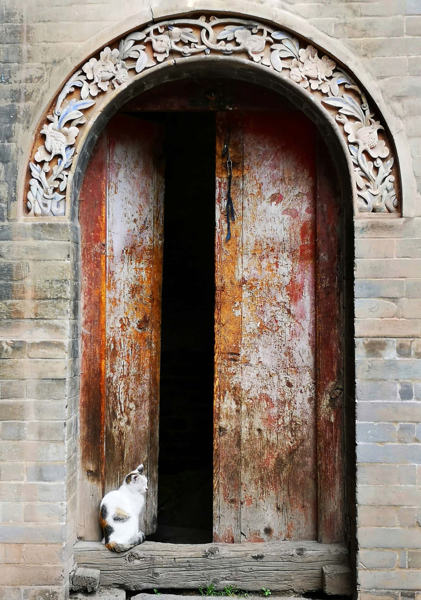 Open Door With Cat Background