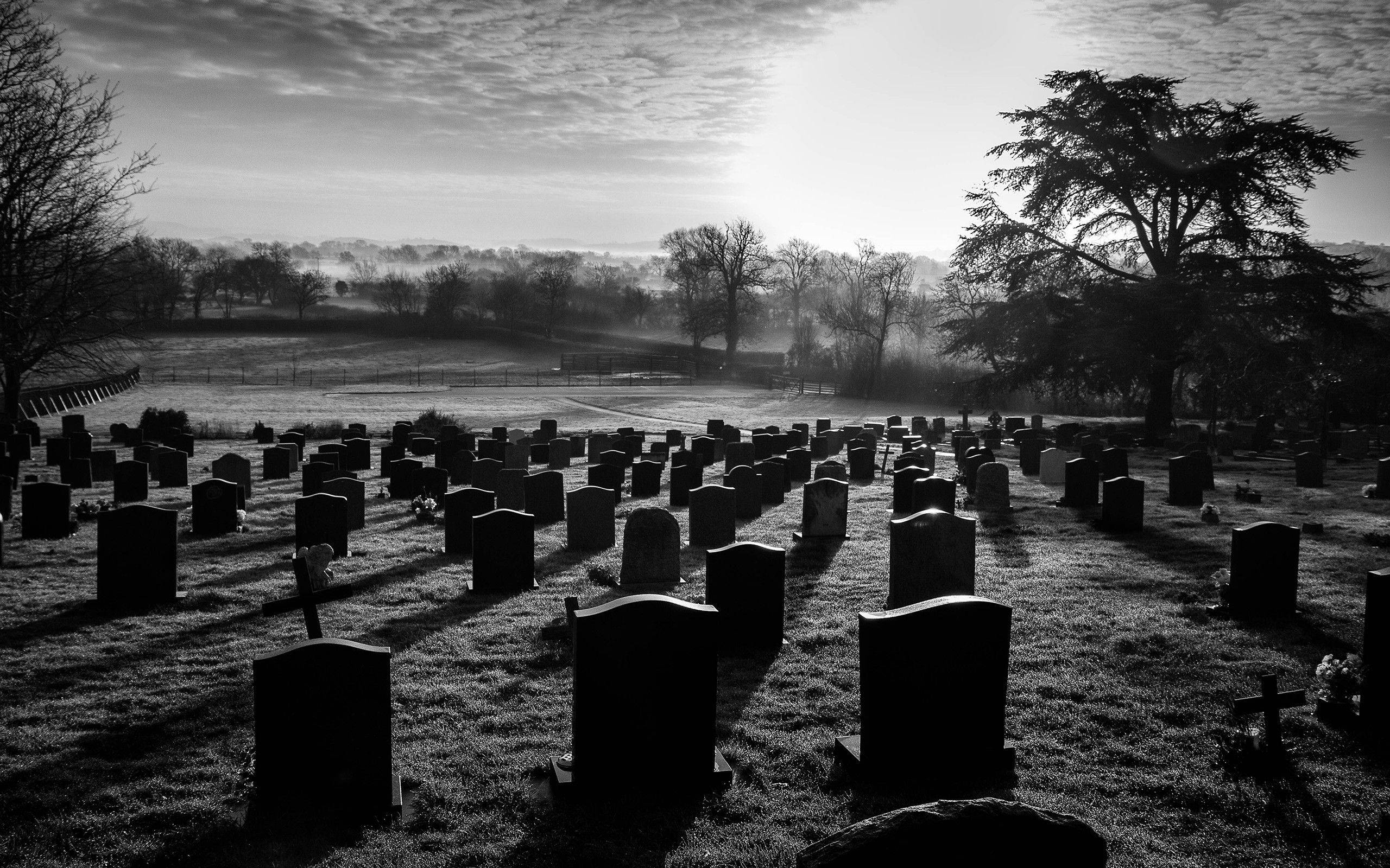 Open Field Graveyard Background