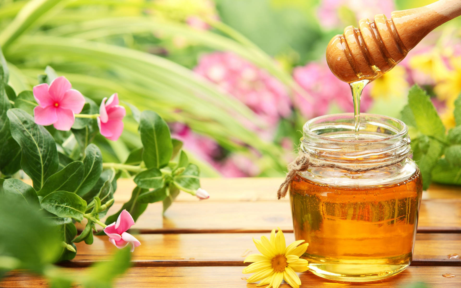 Open Honey Jar With Dipper Background