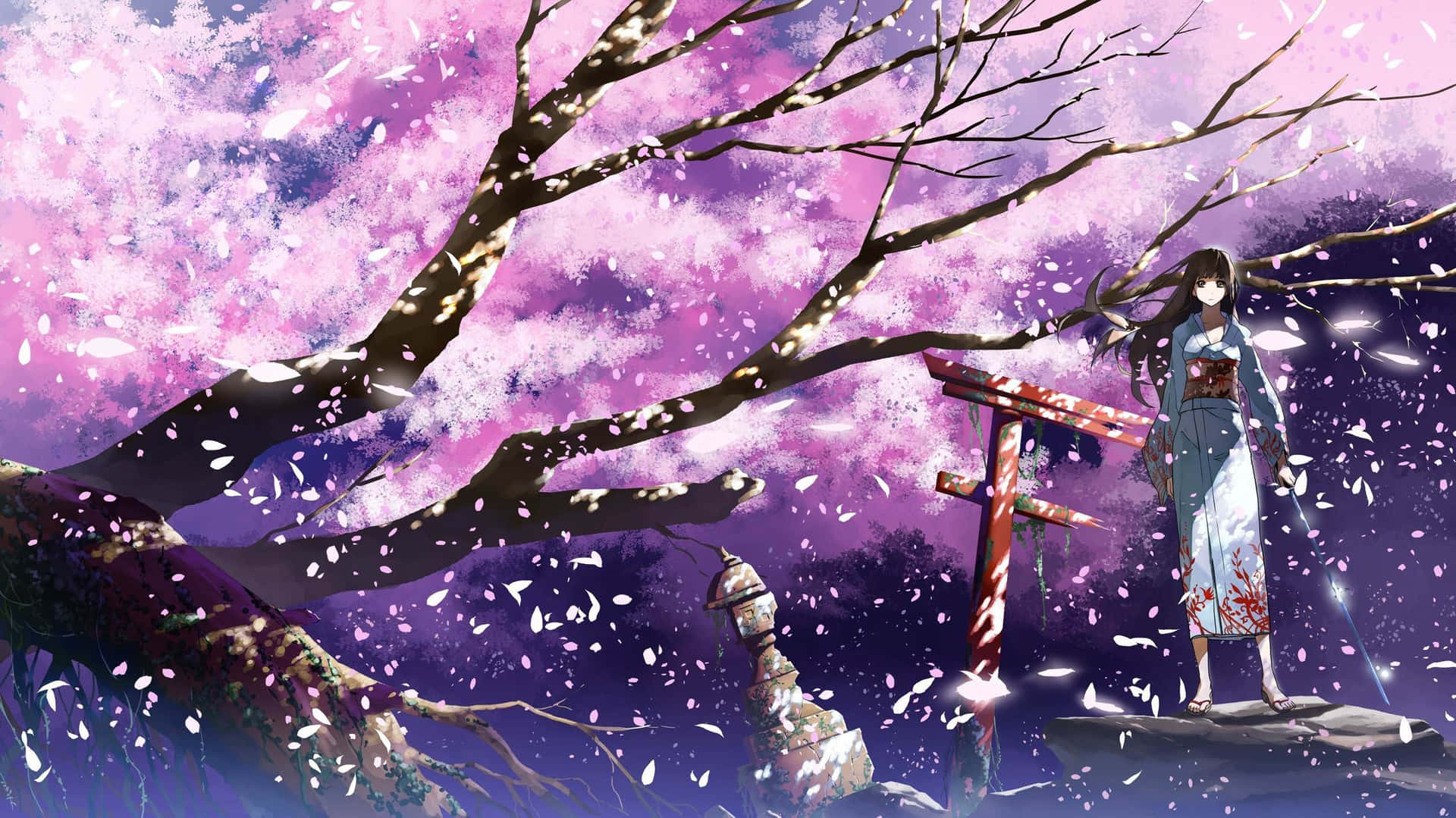 Open The Window To A Beautiful Cherry Blossom Anime Scenery Background