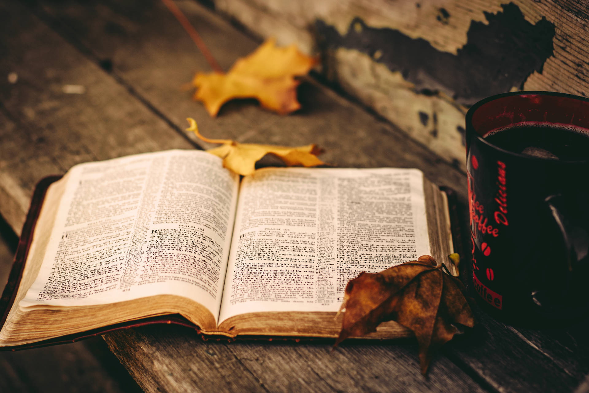 Opened Bible With Rustic Fall Leaves Background