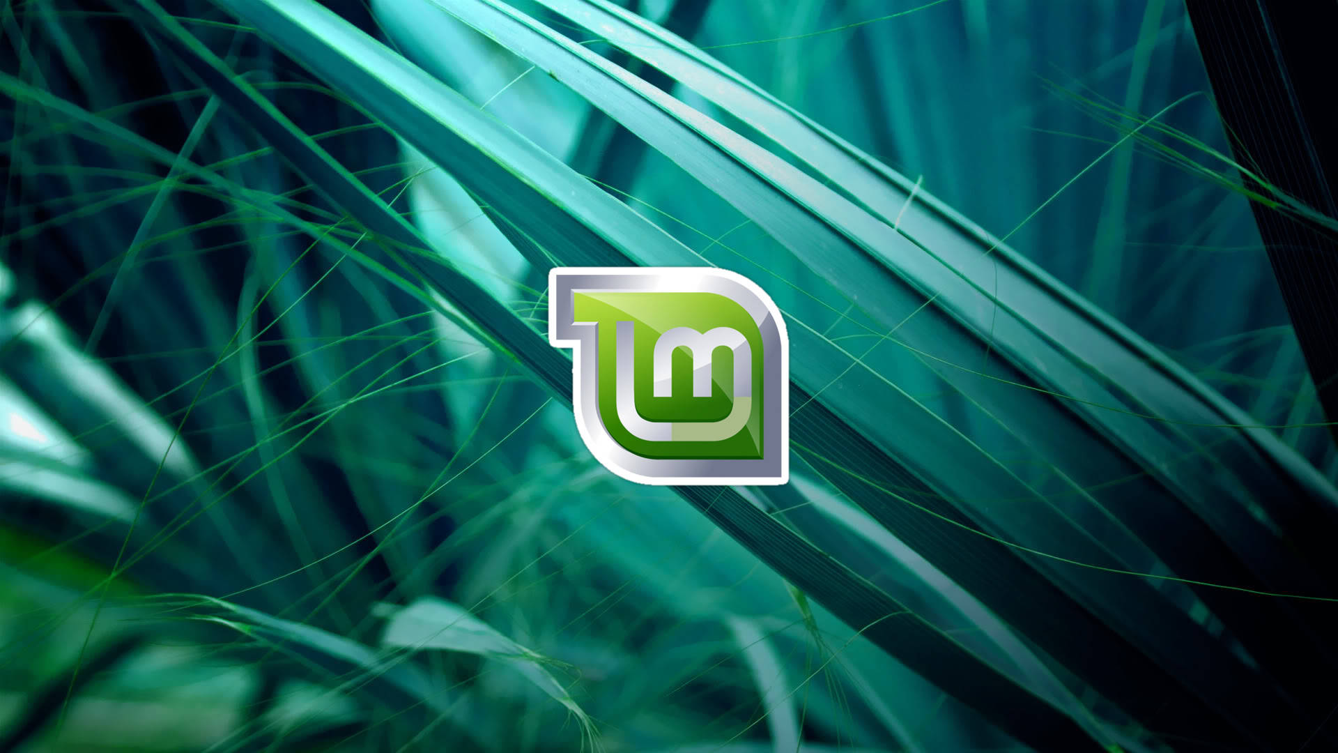 Operating System Linux Mint Logo On Plant Leaves Background