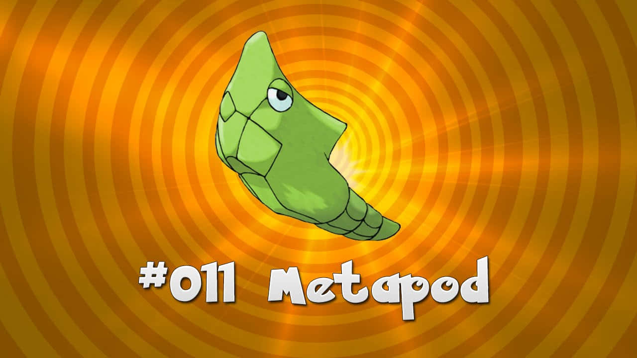 Orange Aesthetic Metapod Desktop Background