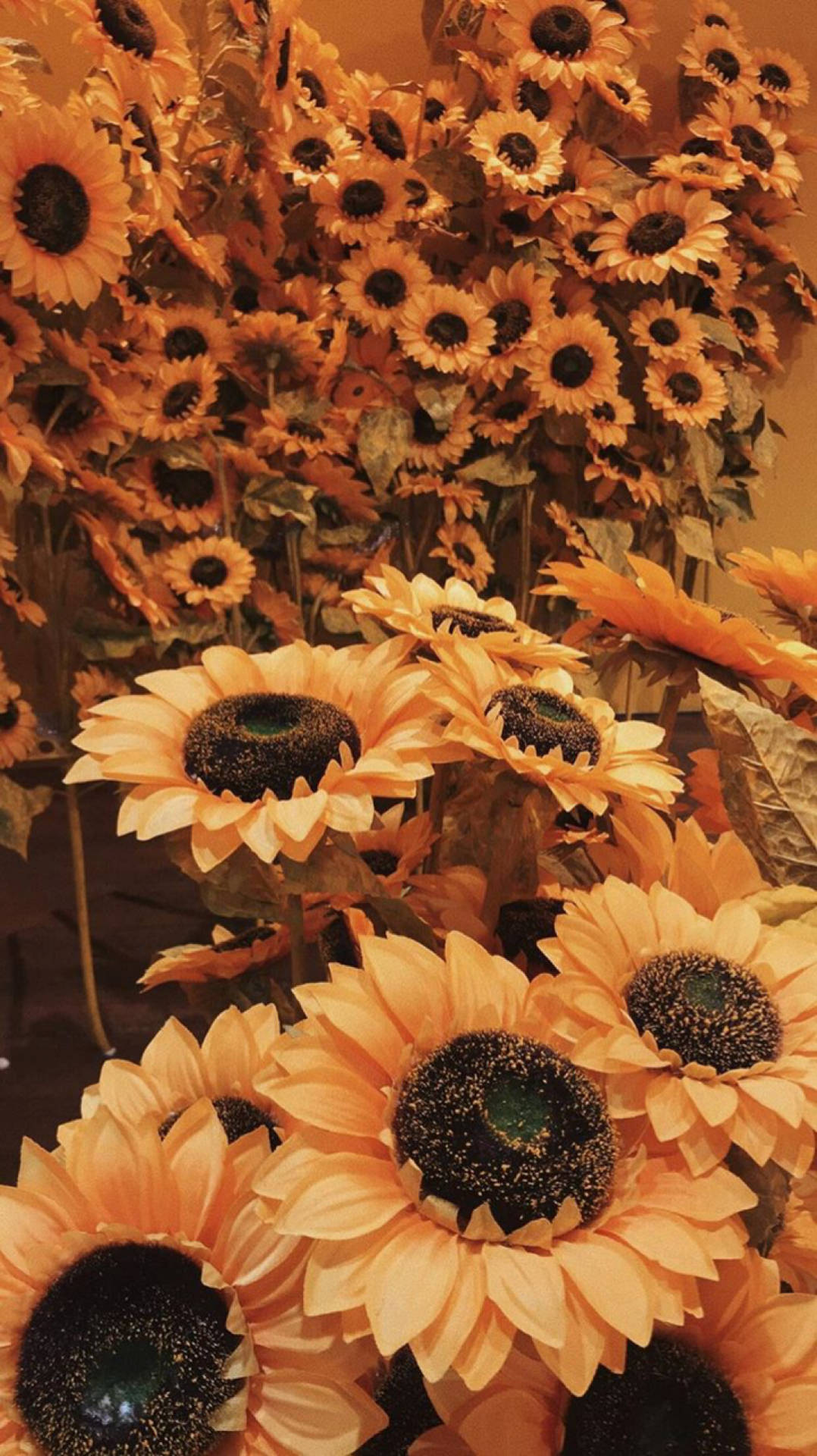 Orange Aesthetic Sunflower Phone Background