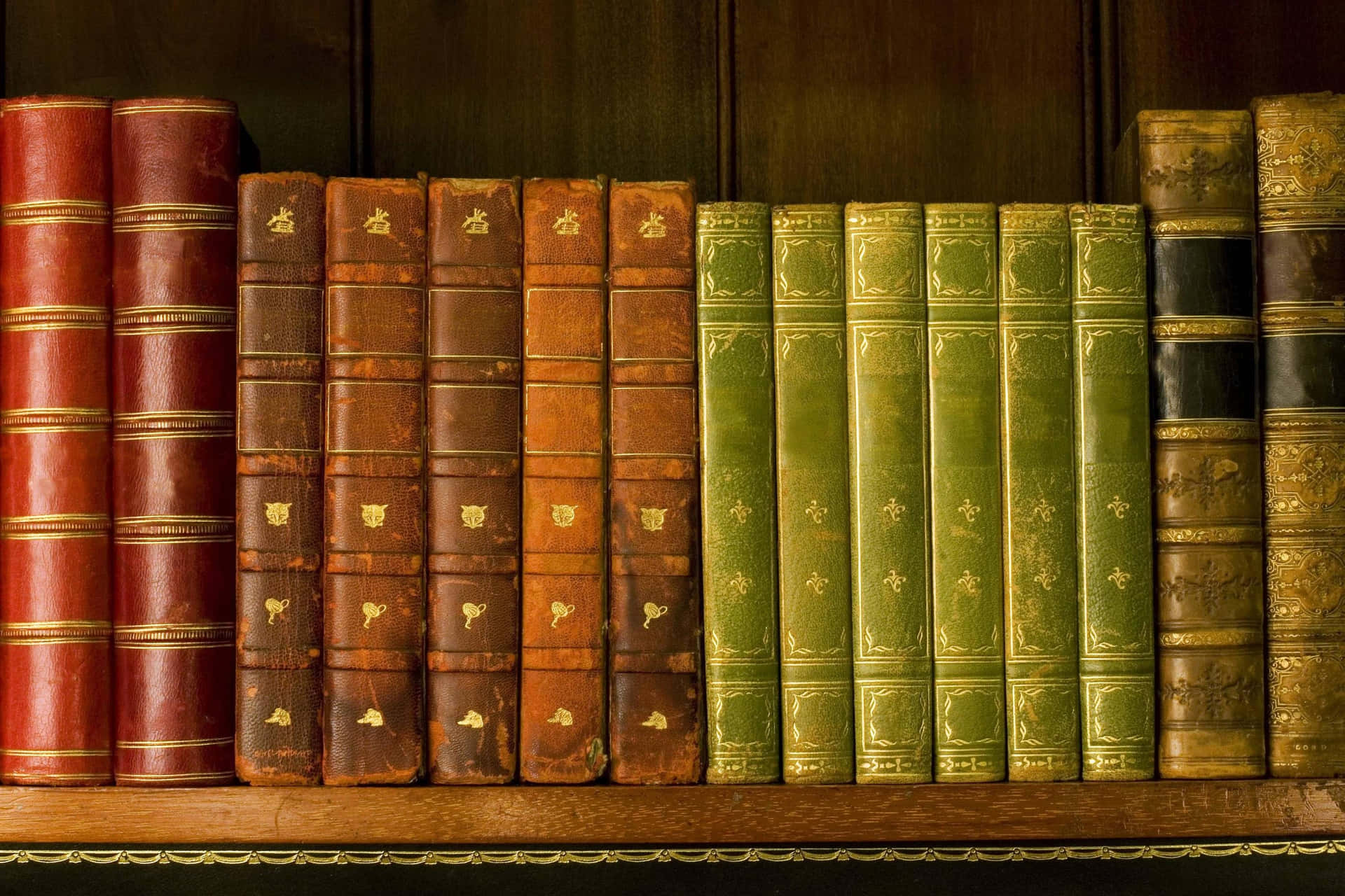 Orange And Green Novel