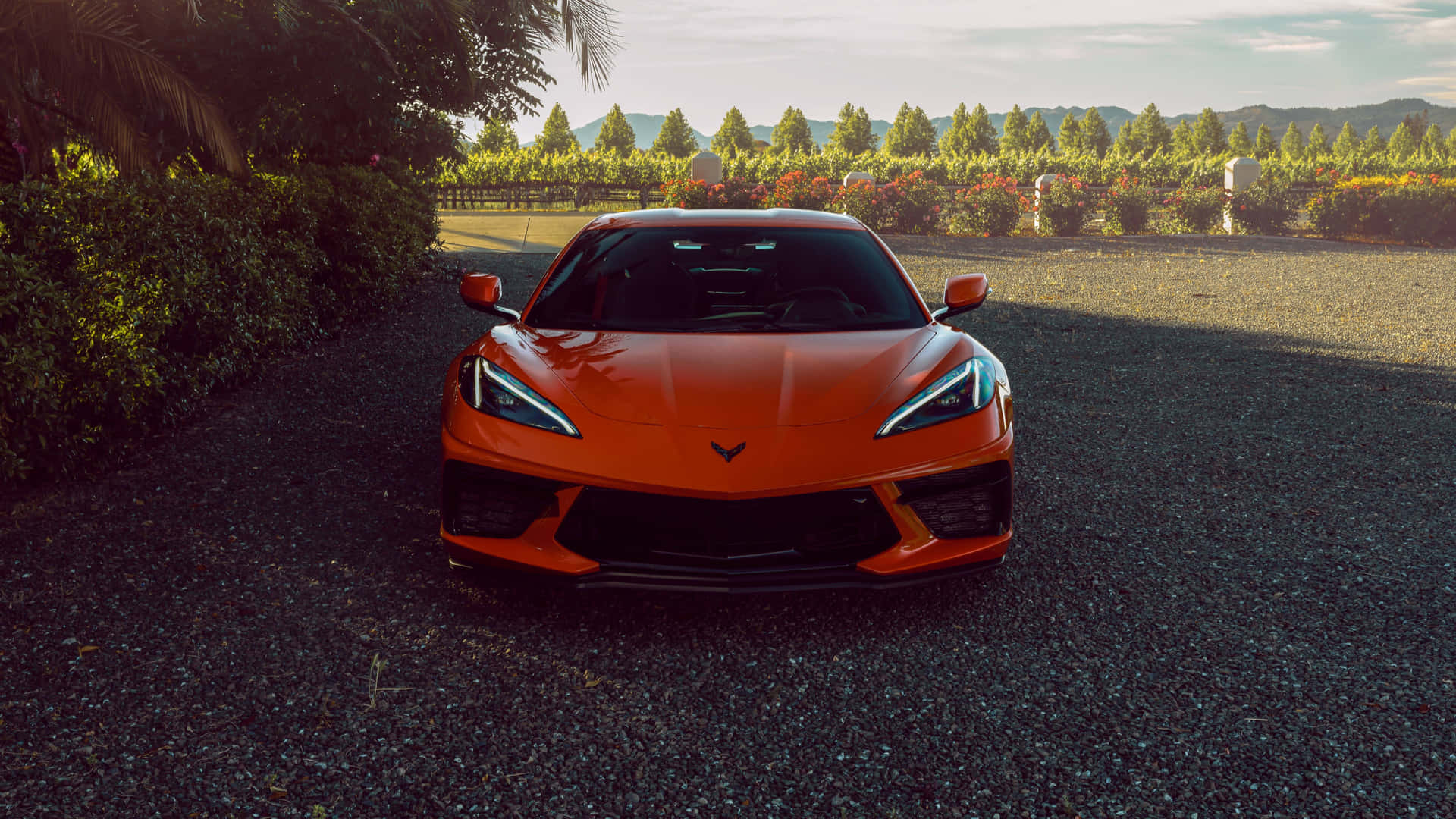 Orange Corvette C8 Parked Outdoors
