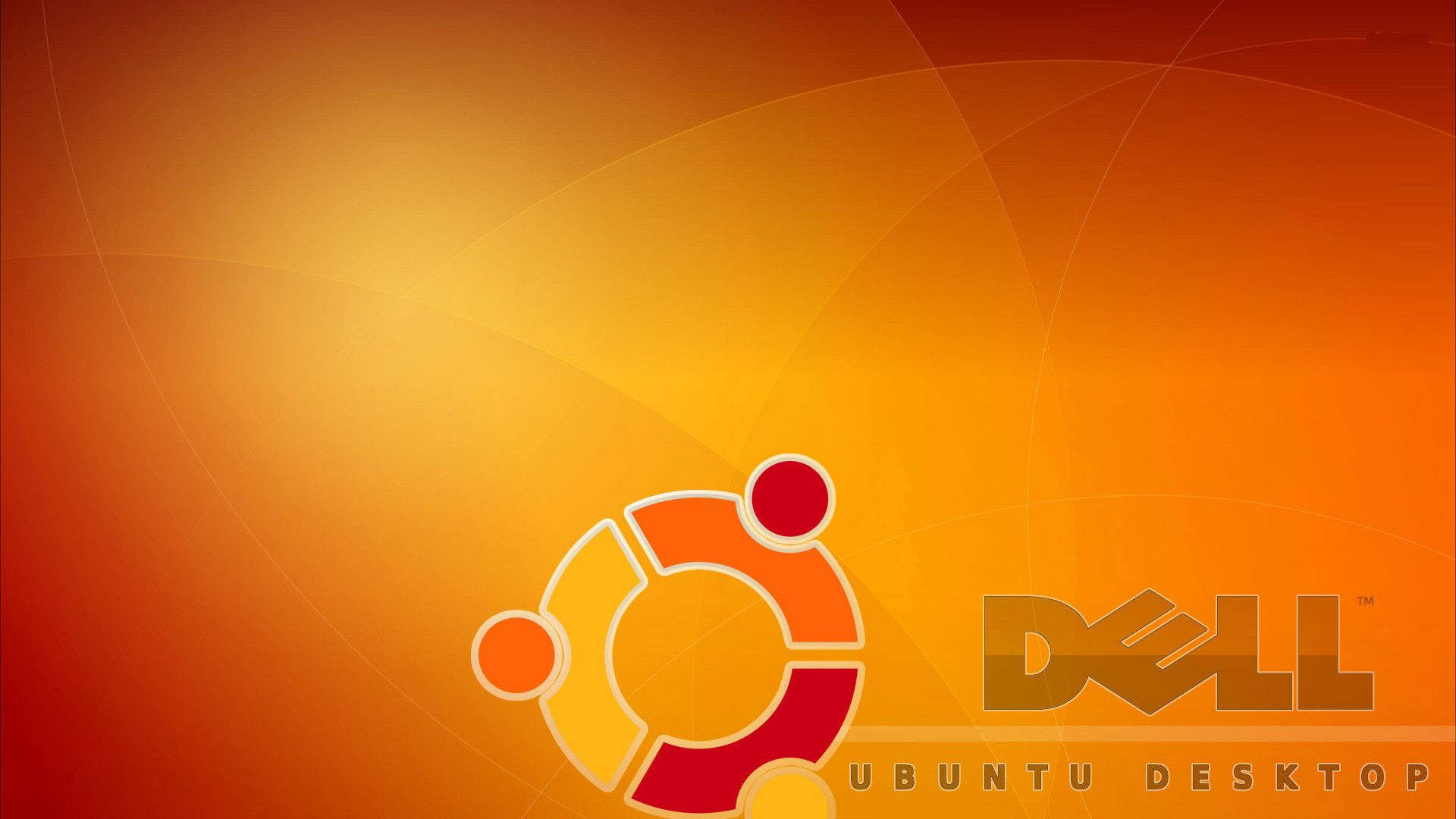 Orange Dell Hd Logo Background