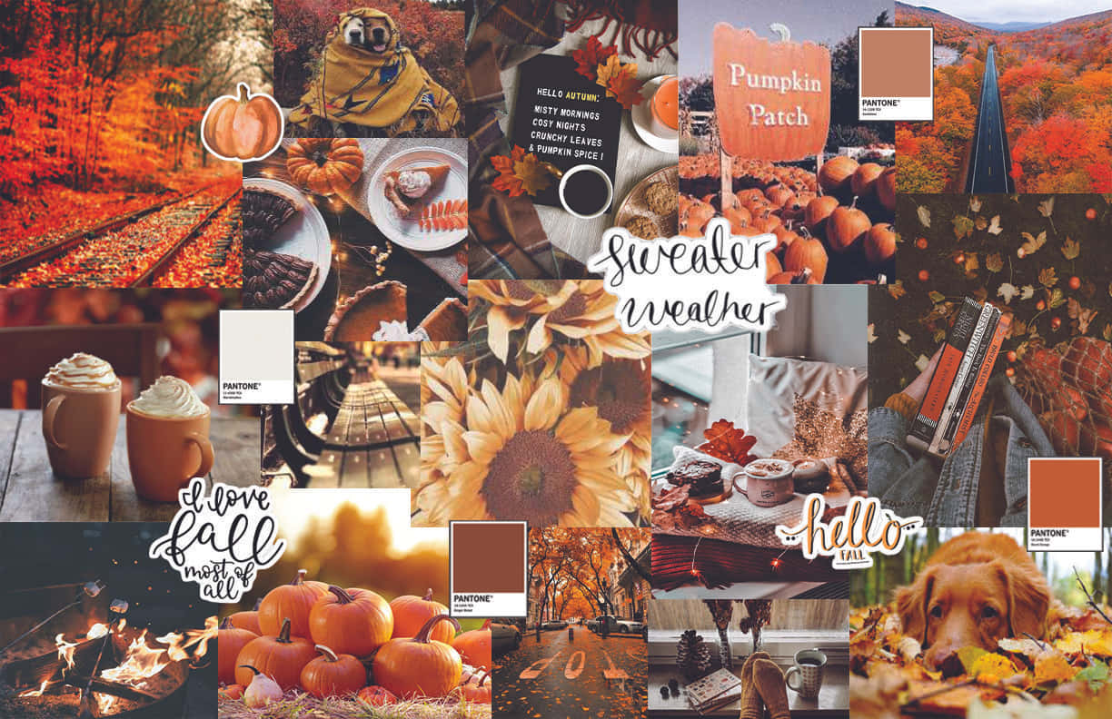 Orange Fall Collage Sweater Weather Background