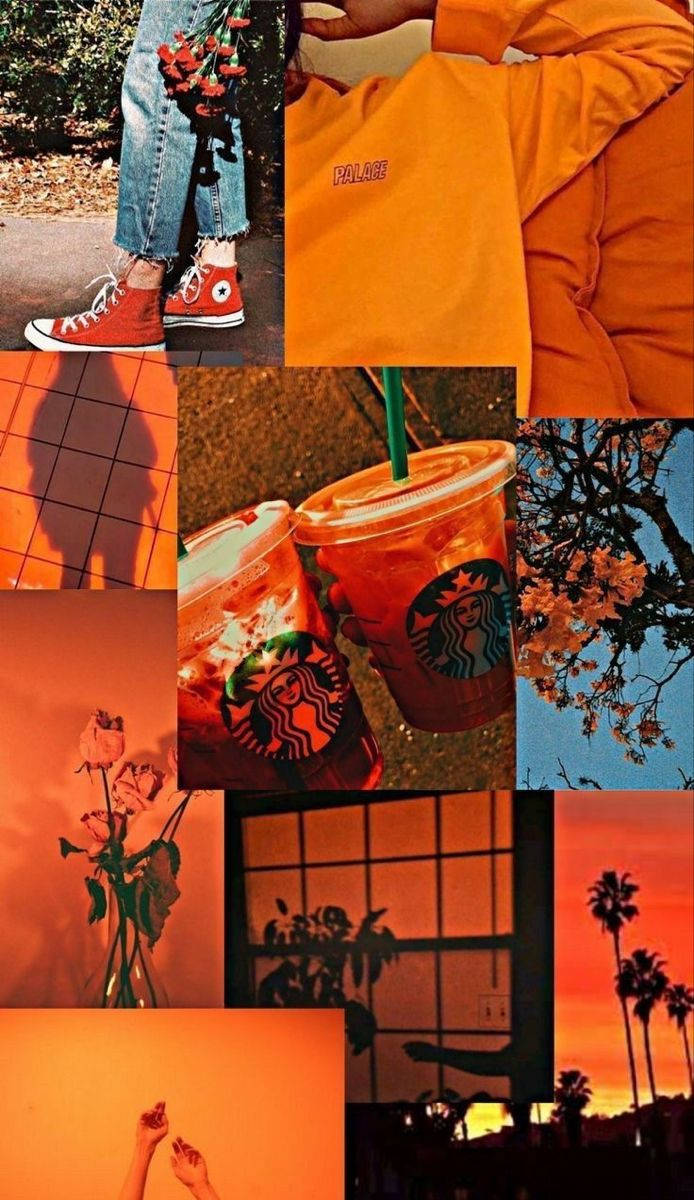 Orange Floral Aesthetic Collage Background