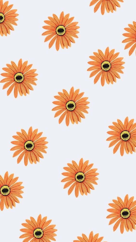 Orange Flowers Pattern Background