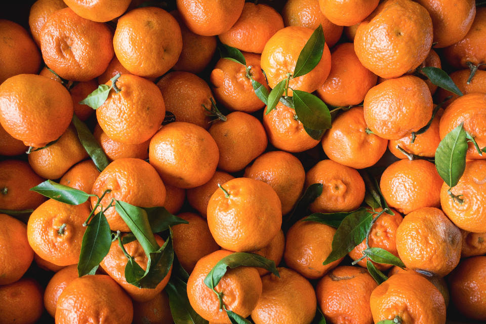 Orange Fruits Background