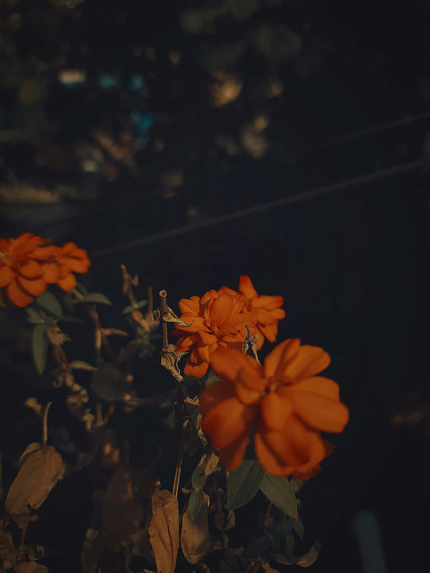 Orange Grunge Floral Aesthetic Background