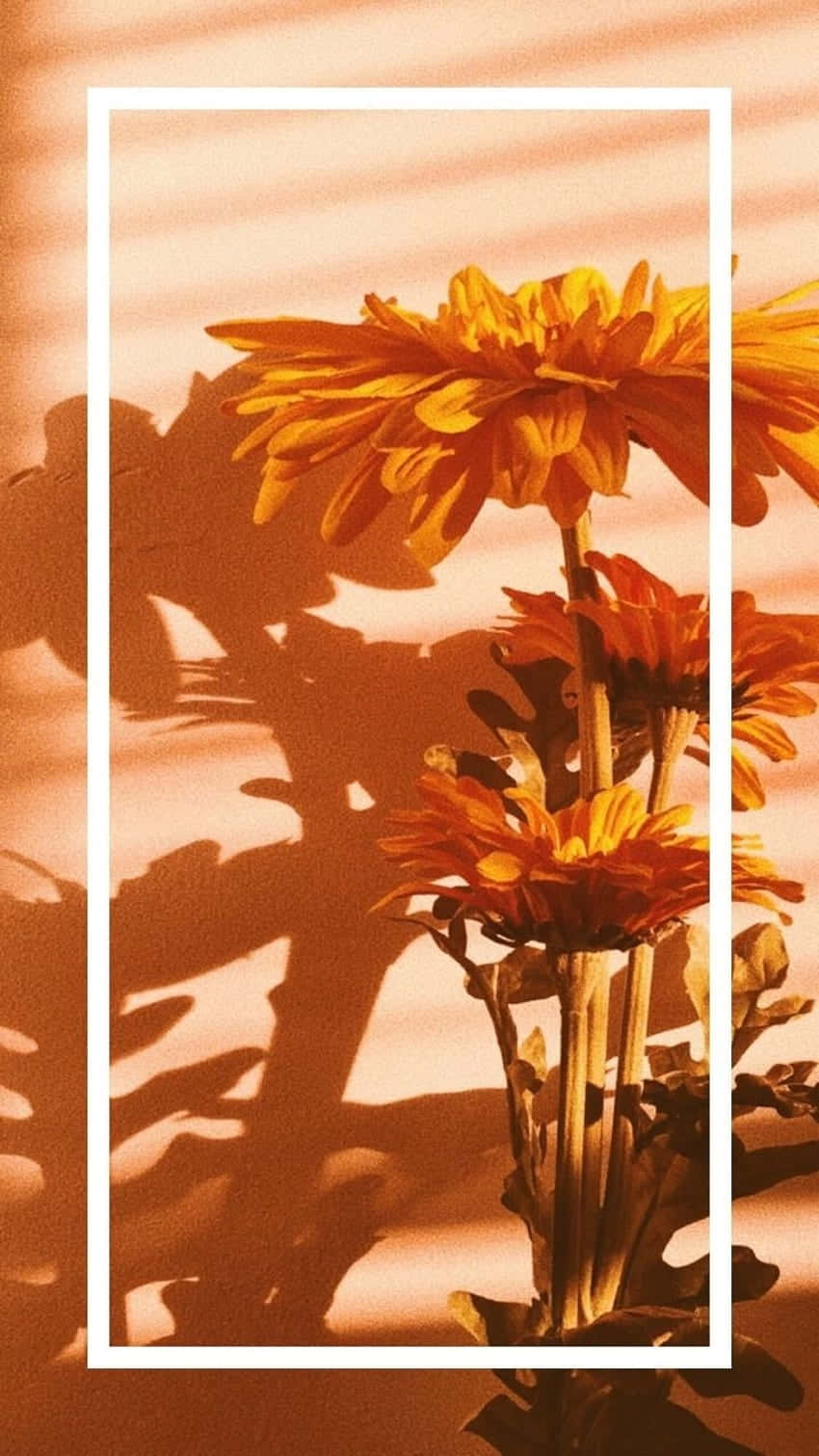Orange Grunge Floral Aesthetic Background