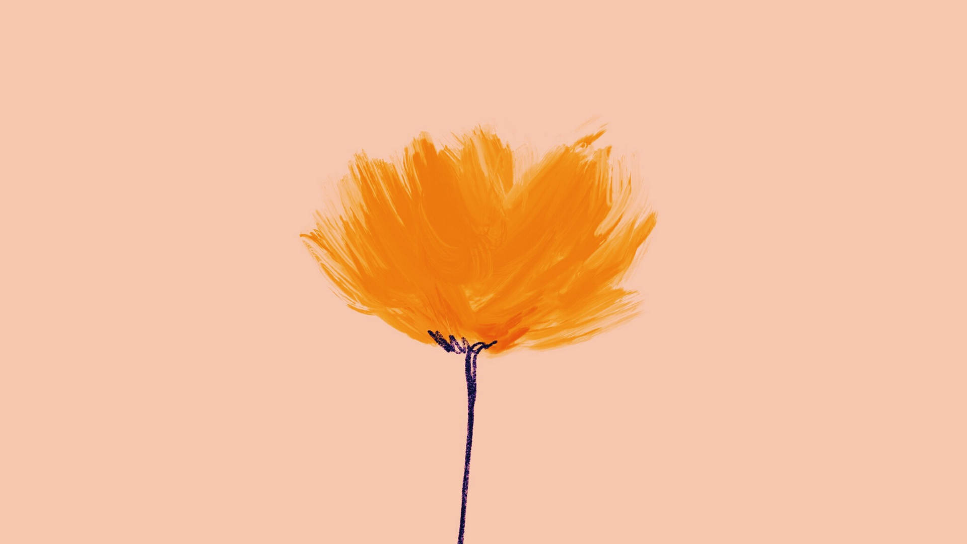 Orange Minimalist Flower Computer Background