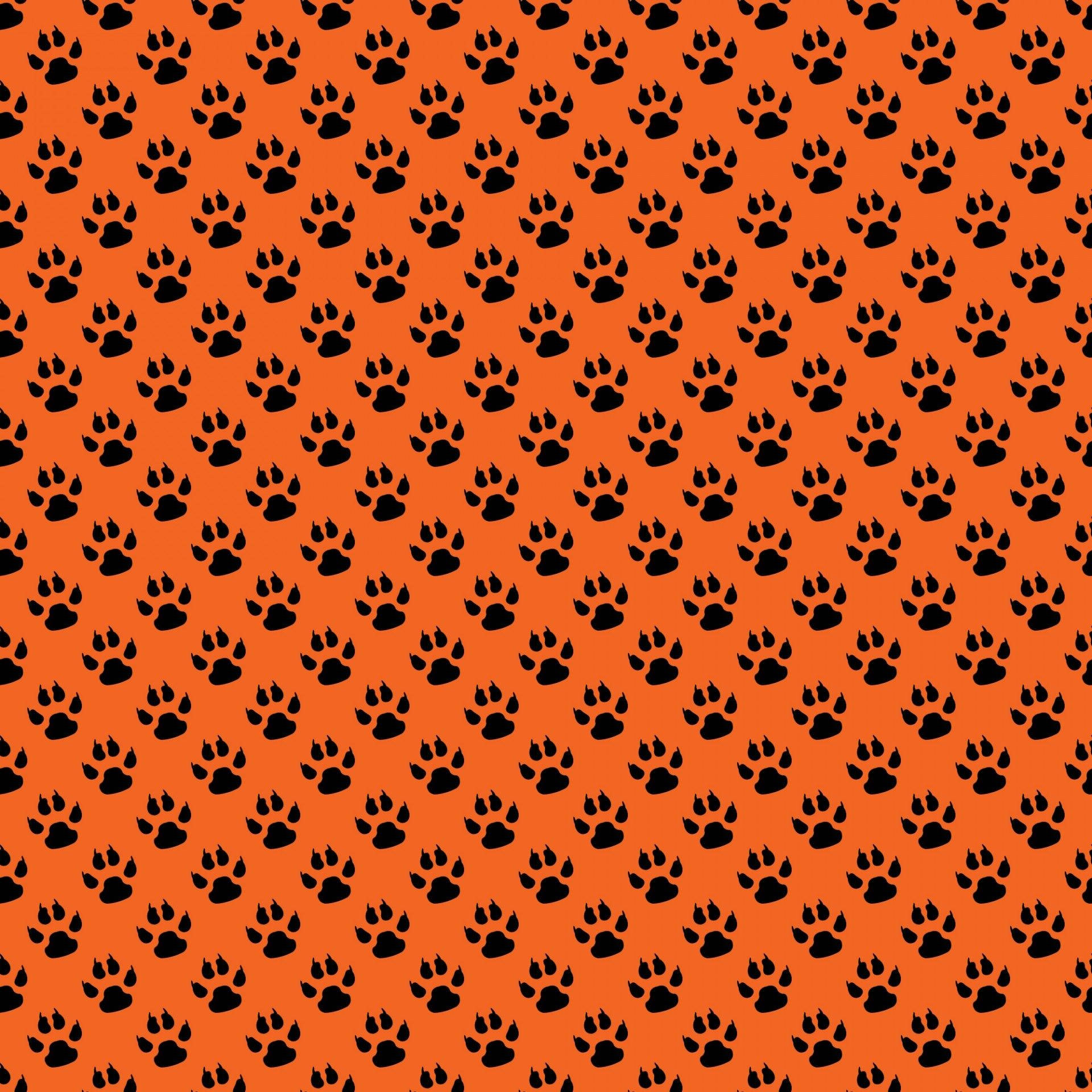 Orange Paw Print Patterns Background