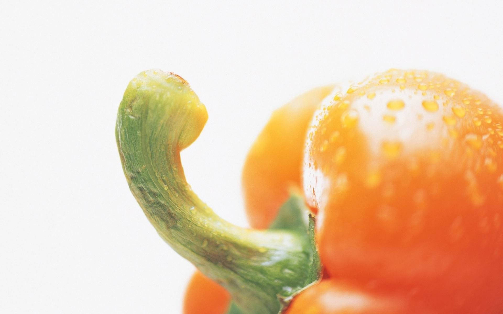 Orange Pepper Pedicel Extreme Close Up Shot Background