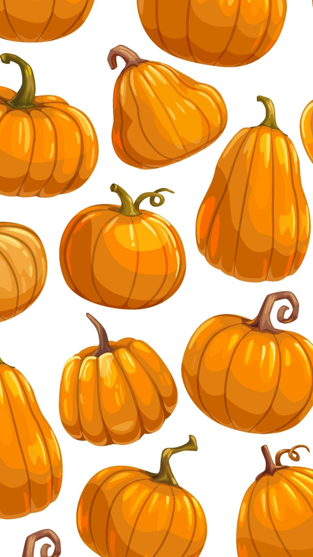 Orange Pumpkins Background Background