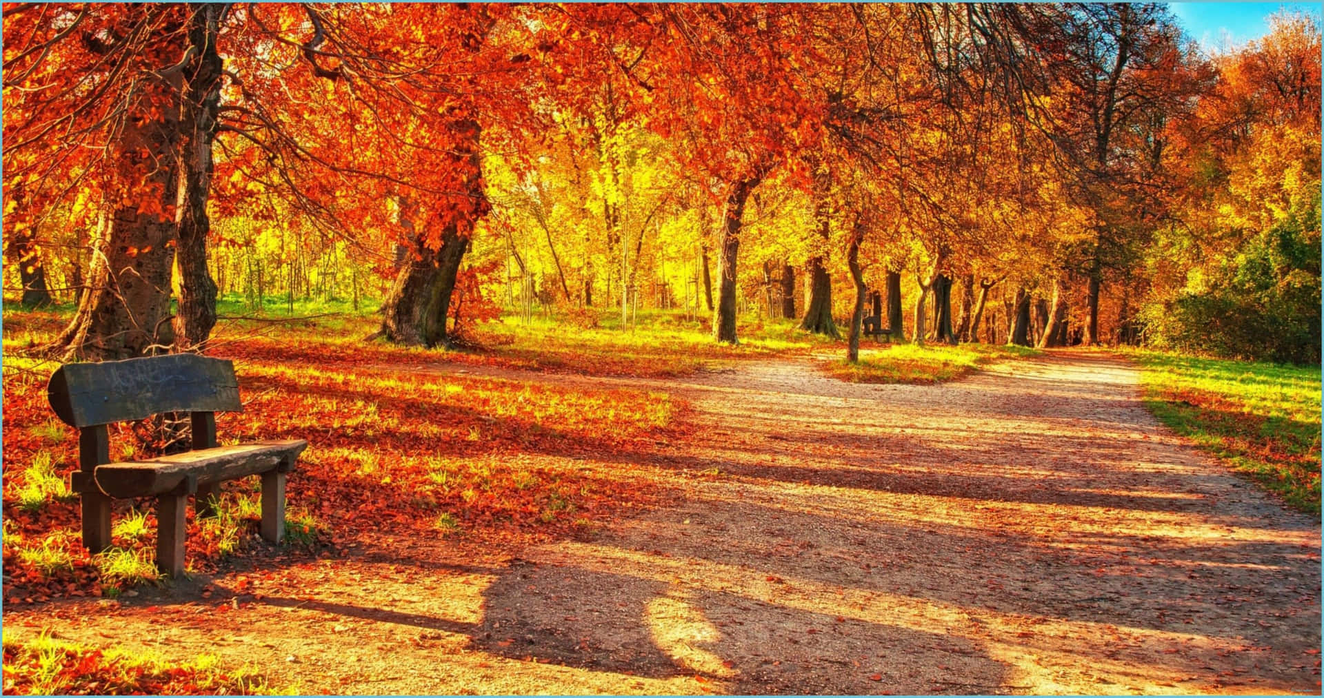 Orange, Red And Yellow Leaves On A Sunny Autumn Day Background