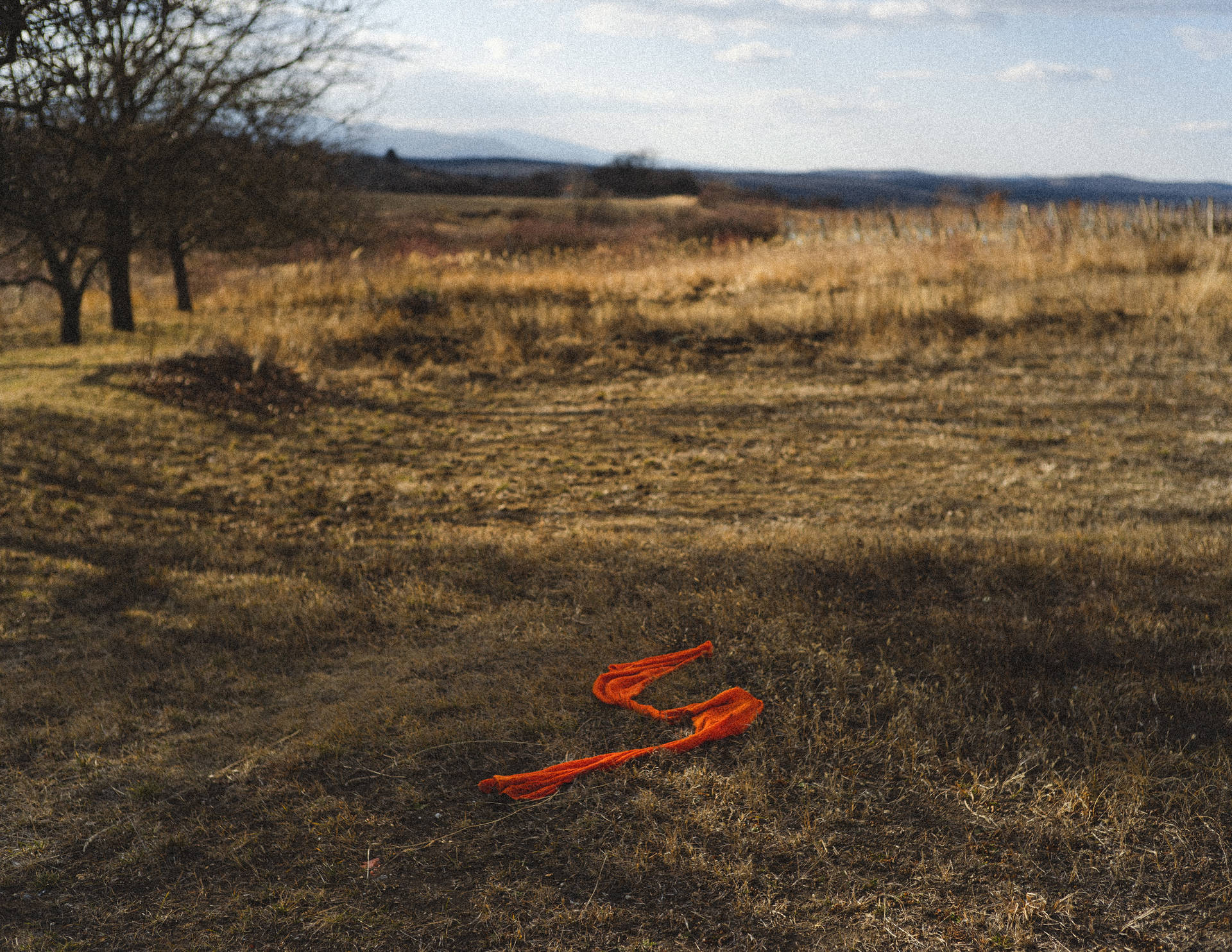 Orange Rope In Hungary Grassland Background