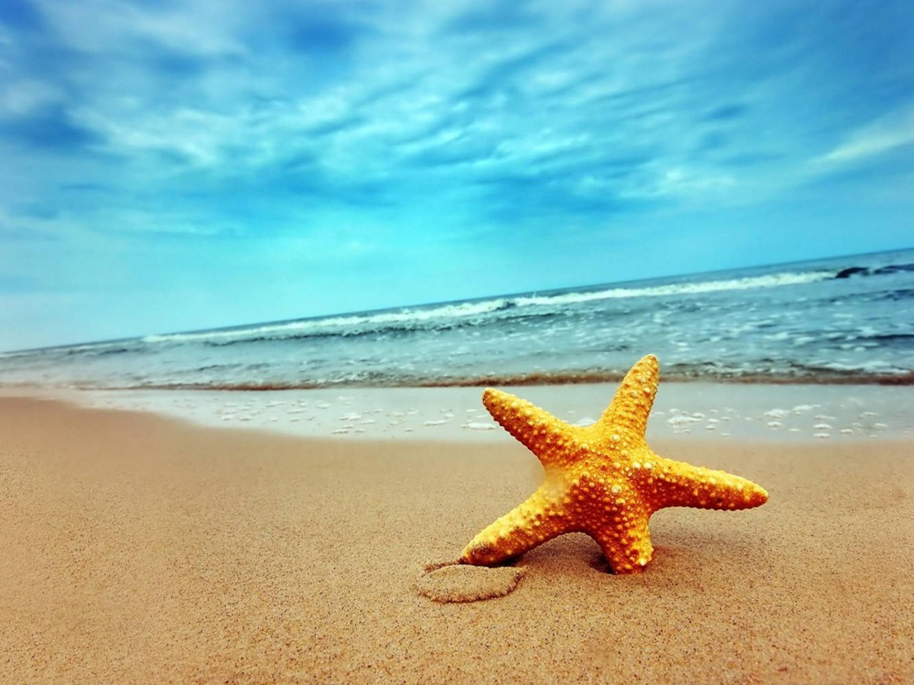 Orange Starfish Beach View Background