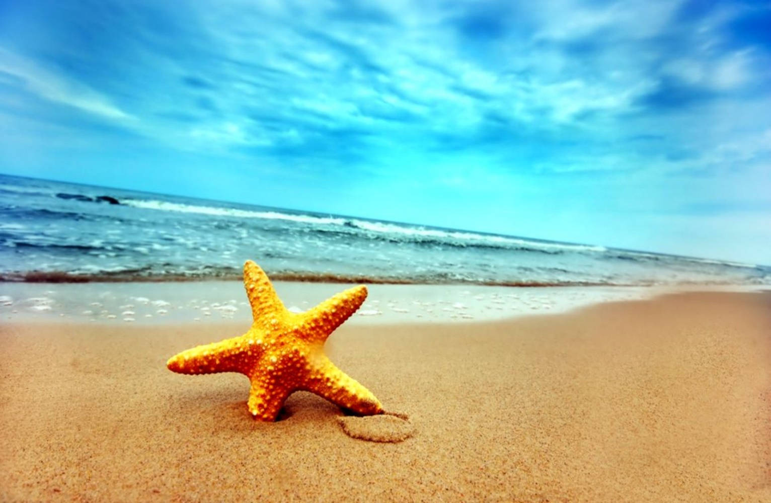 Orange Starfish Blue Sky Background