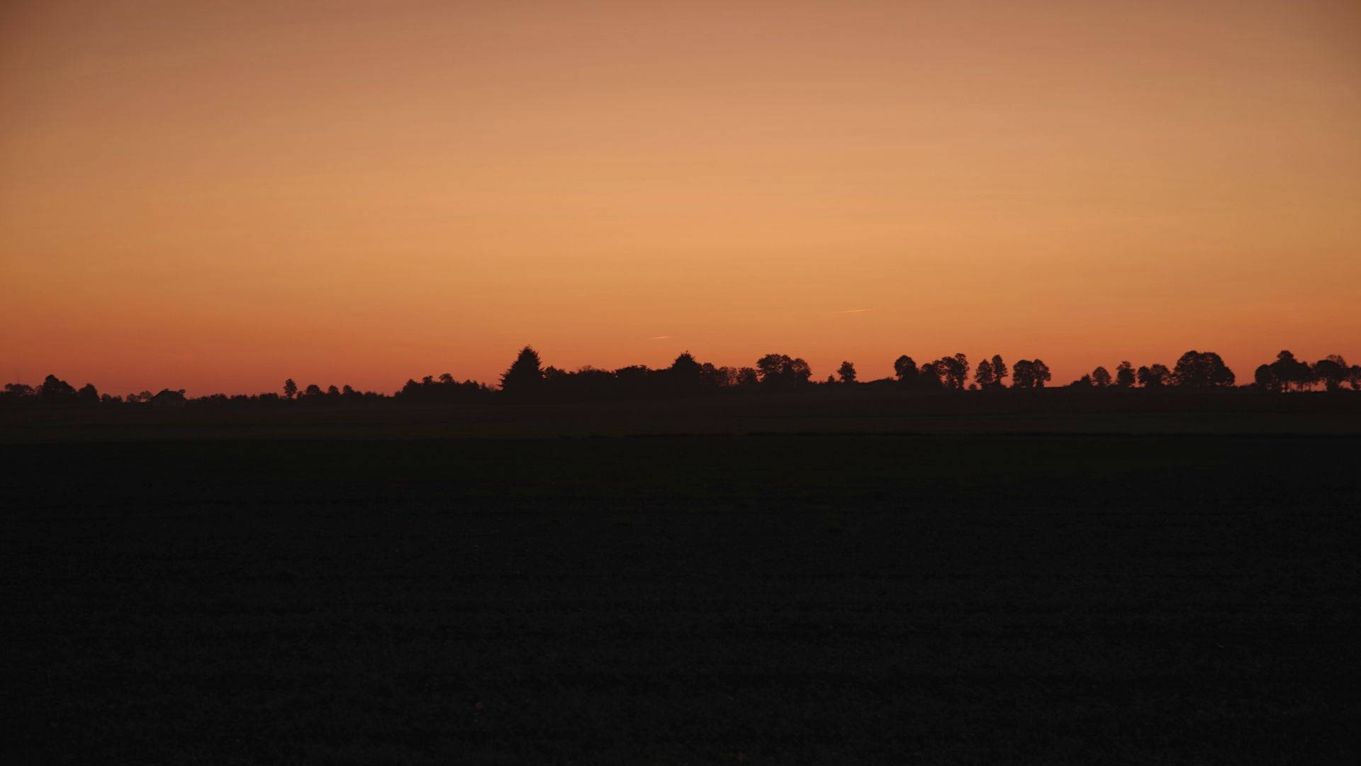 Orange Sunset And Forest Trees Horizon Background