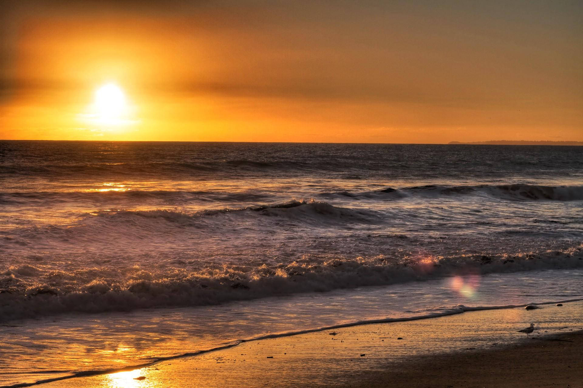 Orange Sunset On Malibu Beach Background