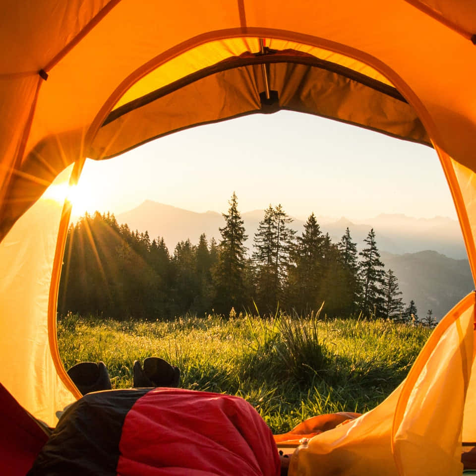 Orange Tent Outside View