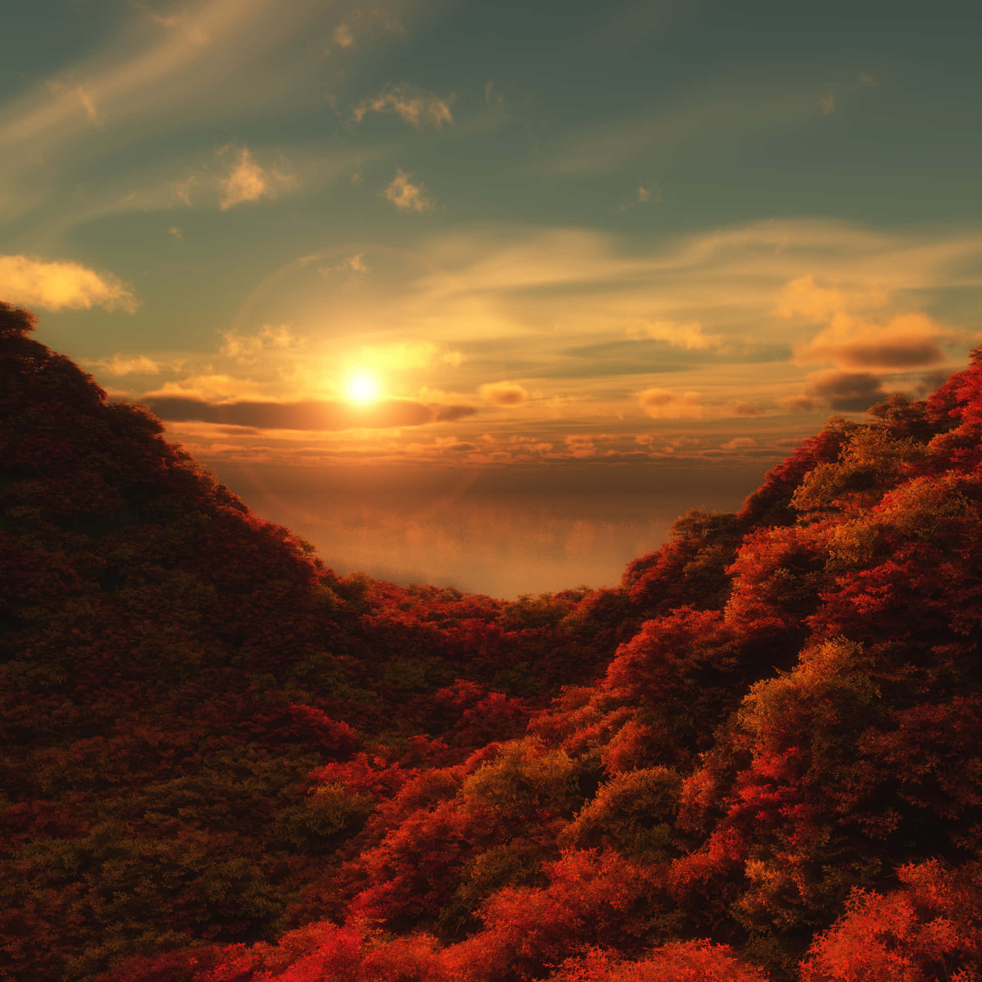 Orange-tinged Sunset In Jungle Desktop Background