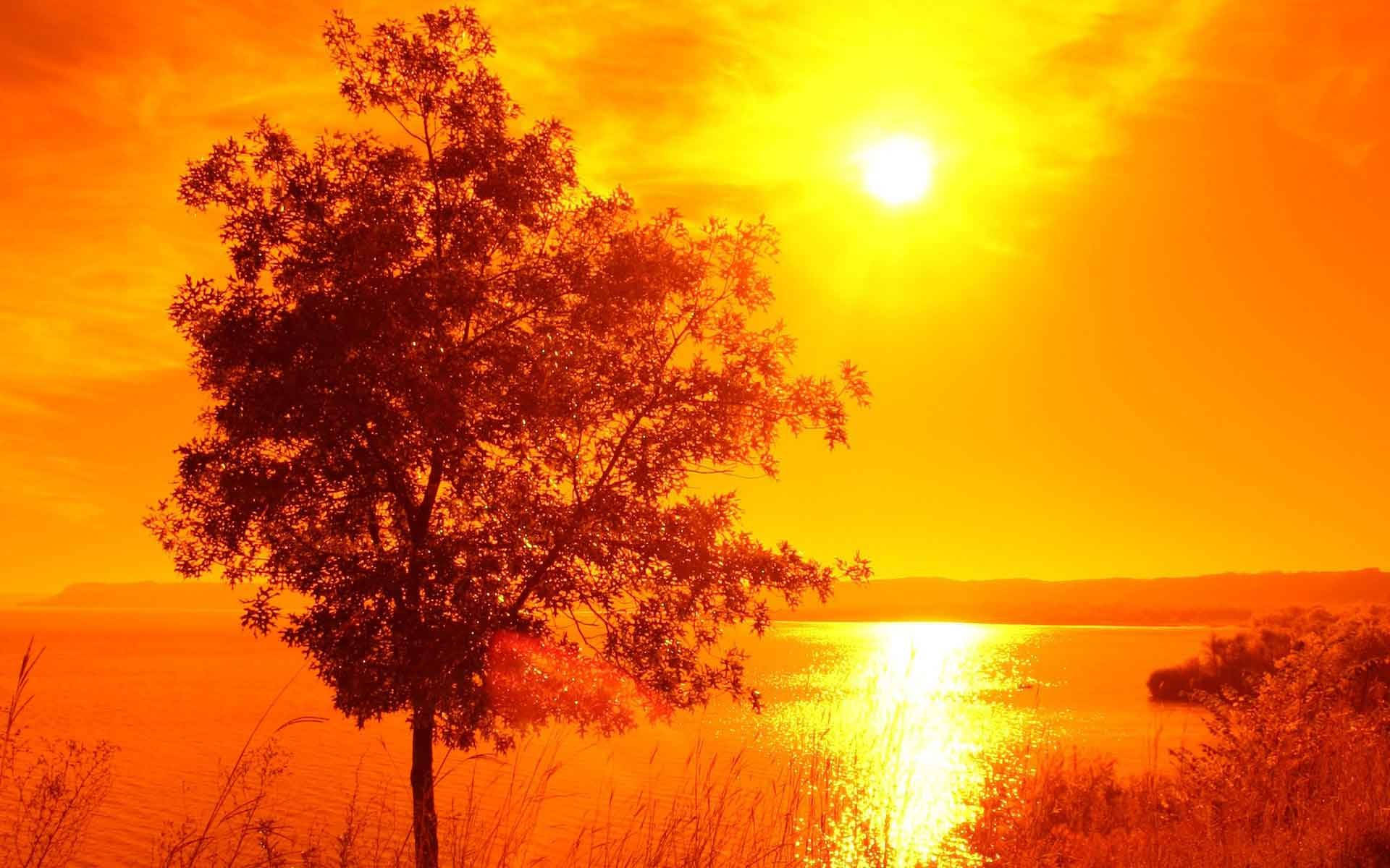 Orange-tinted Sunrise Nature Background