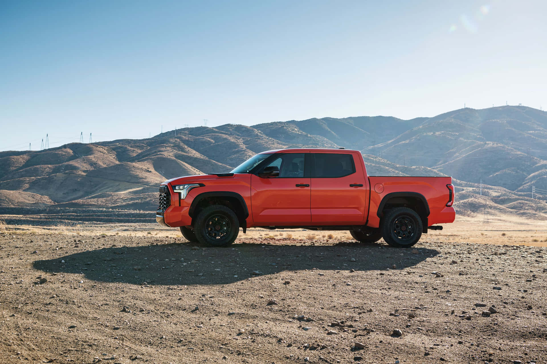 Orange Tundra In Desert With Mountains Background