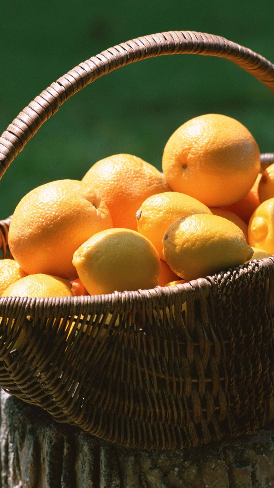 Oranges And Lemons In A Basket
