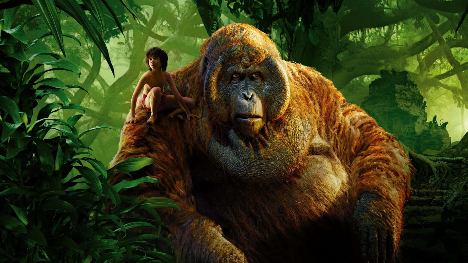 Orangutan King Louie Jungle Book Background