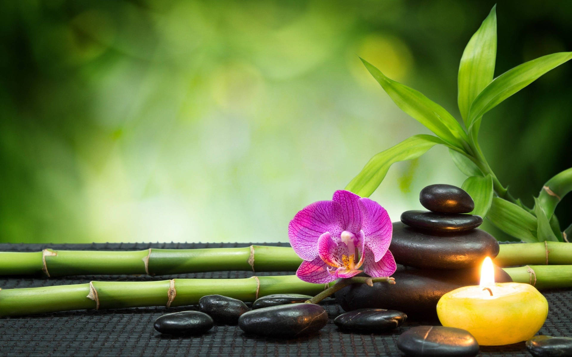 Orchid And Zen Stones With Bamboo For Therapy Background