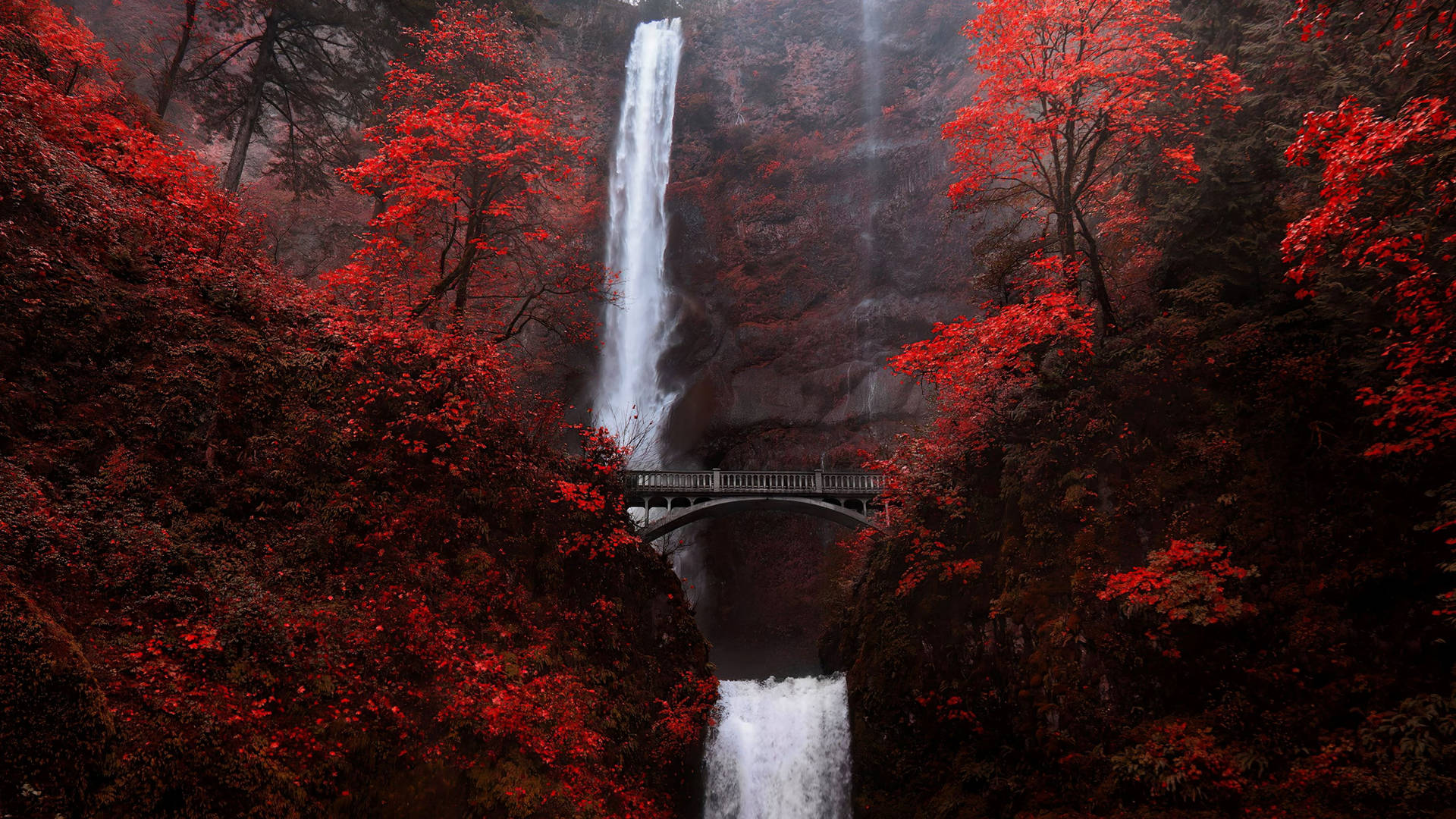 Oregon Multnomah Waterfall Background