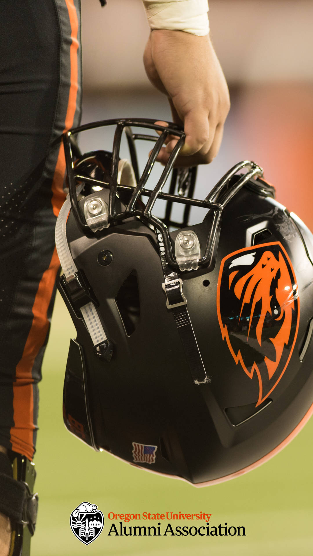 Oregon State University American Football Helmet Background