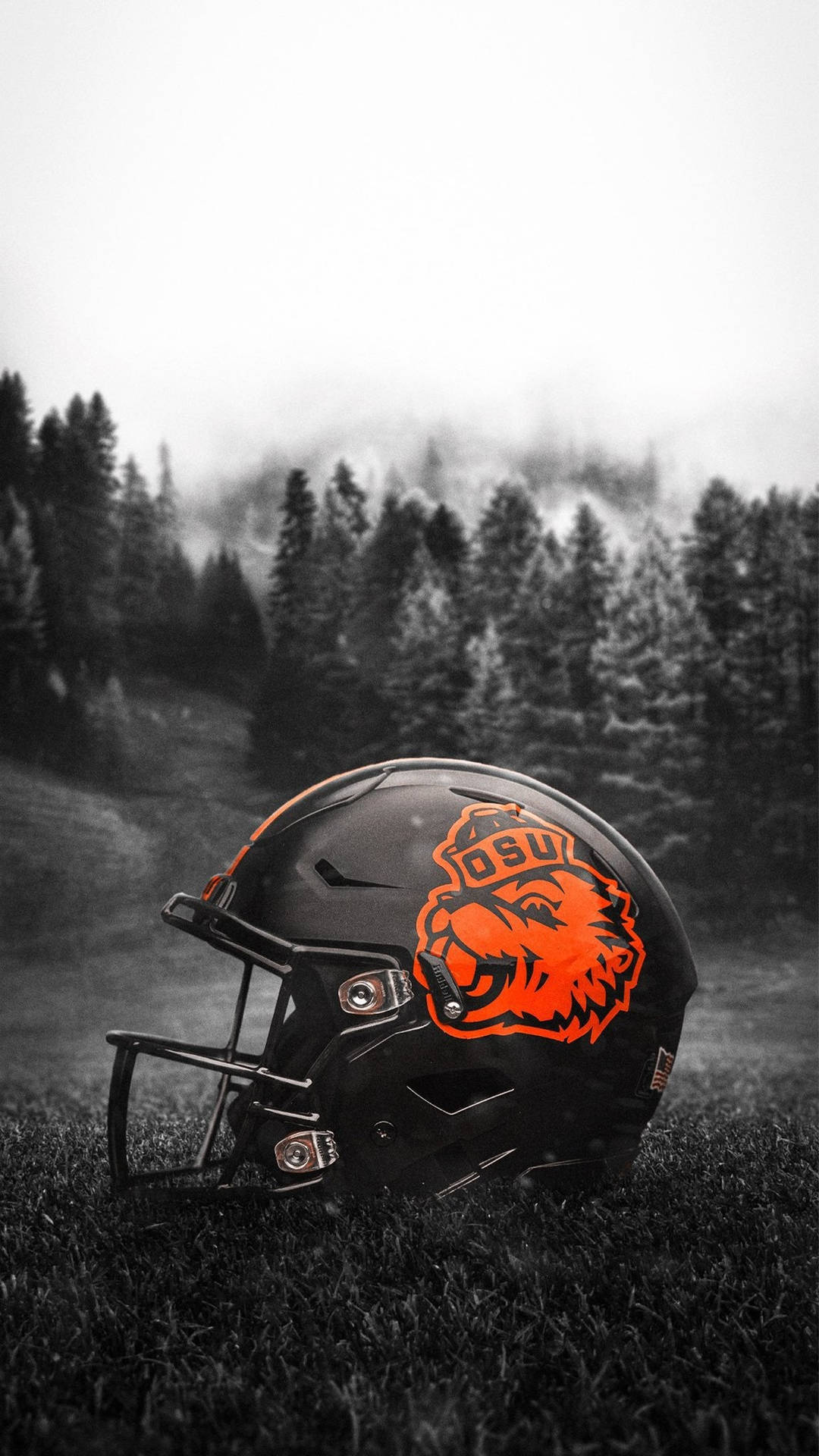 Oregon State University Football Helmet Background